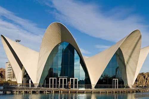 Khám phá 10 thủy cung lớn nhất thế giới