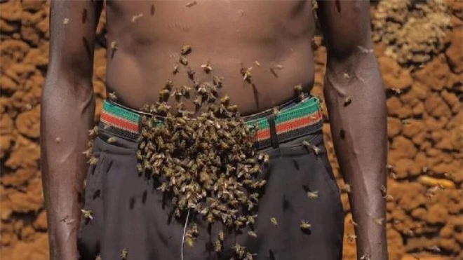 Người đàn ông tự xưng là Vua ong: điều khiển được ong như Tiểu long nữ, cả đời chưa bao giờ bị ong đốt - Ảnh 5.
