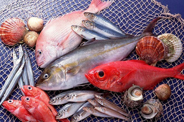 Điểm danh các loại cá biển tốt cho bà bầu