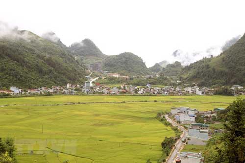 Quyến rũ mùa vàng trên cánh đồng Mường Khương ở Lào Cai