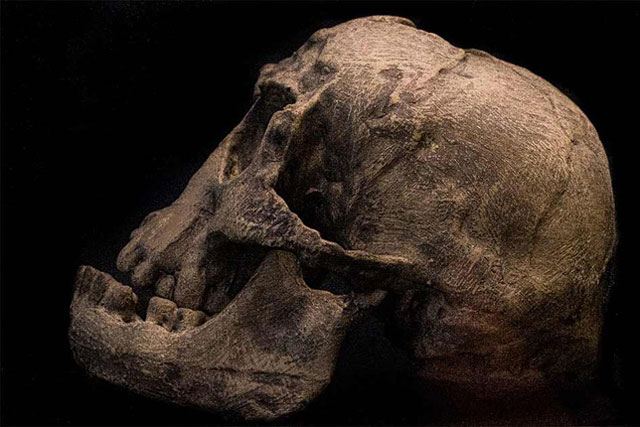 Kinh ngạc loài giống người hiện đại nhất, bước ra từ phim "Chúa Nhẫn"