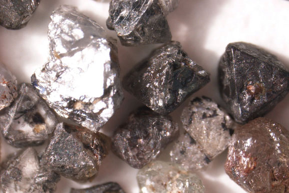 Sốc: Hàng loạt sinh vật chết đi hóa thành kim cương