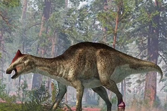 Khủng long vật vã vì khối u và vết thương đau đớn ở đuôi