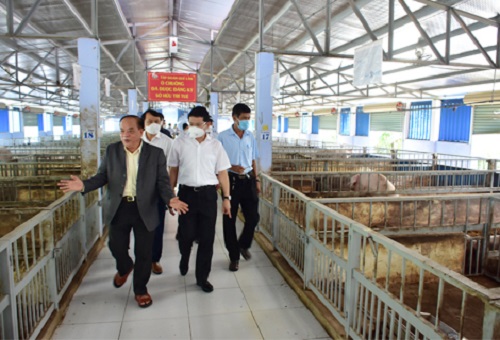 Thừa Thiên Huế hợp tác với Tập đoàn Quế Lâm phát triển nông nghiệp hữu cơ bền vững