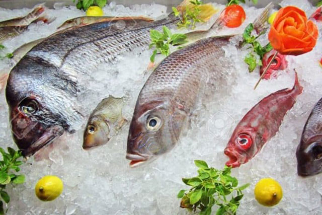 Trữ đông thực phẩm trong mùa dịch mà vẫn đảm bảo độ tươi ngon?