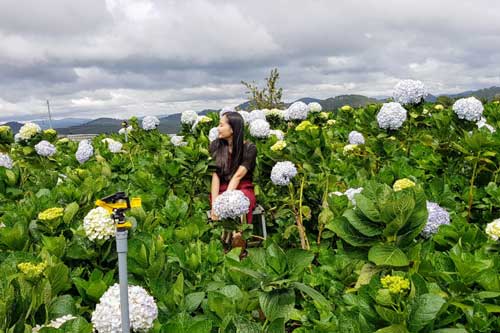 Những điểm check in siêu 'hot' tại Đà Lạt