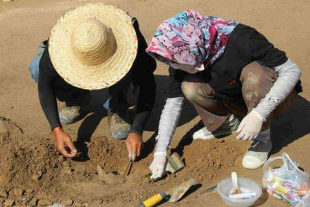 Ông cụ mang "sắt vụn" về nhà bị vợ quở trách: 26 năm sau chuyên gia tìm đến tận nơi xin bảo vật về!