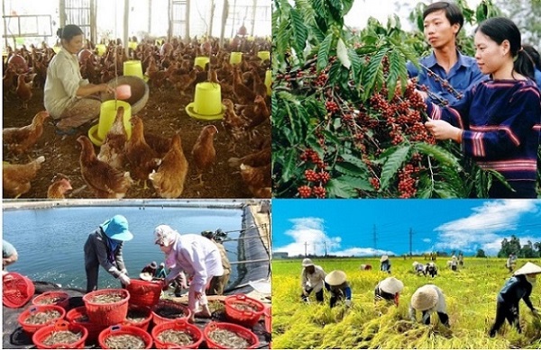 8 tháng đầu năm: Cả nước cơ bản chủ động được nhu cầu lương thực, thực phẩm