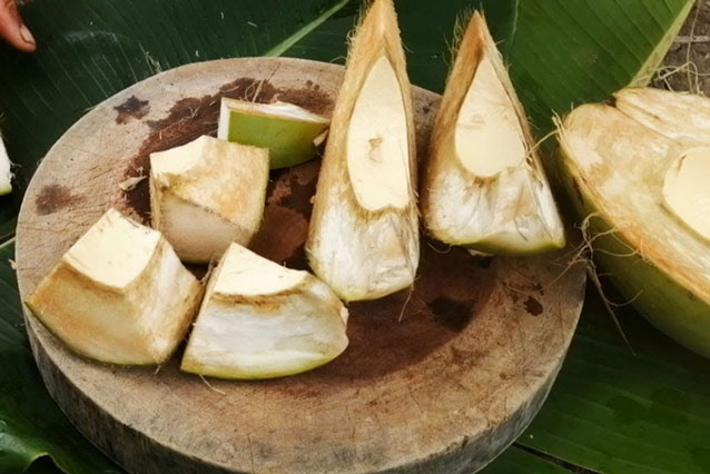 Lạ lùng những thứ chỉ có ở Việt Nam: Dừa ăn vỏ bỏ nước, mít dài cả mét, thanh long thơm mùi nhãn,...