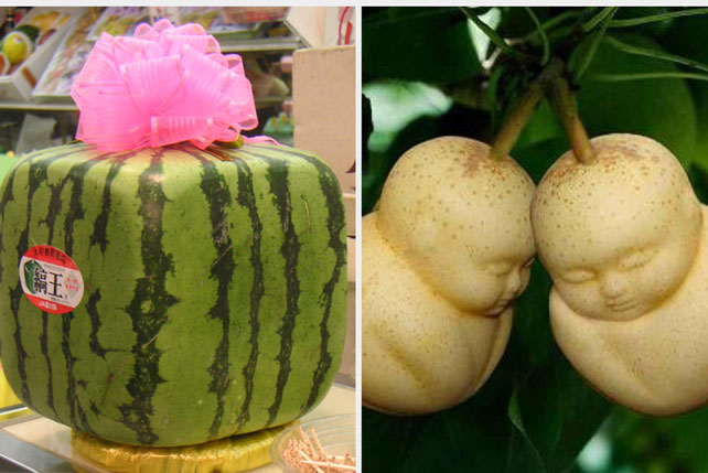 6 loại trái cây có tiền cũng chưa chắc mua được trên thế giới, có quả từng được chào bán với giá... 1,04 tỷ đồng