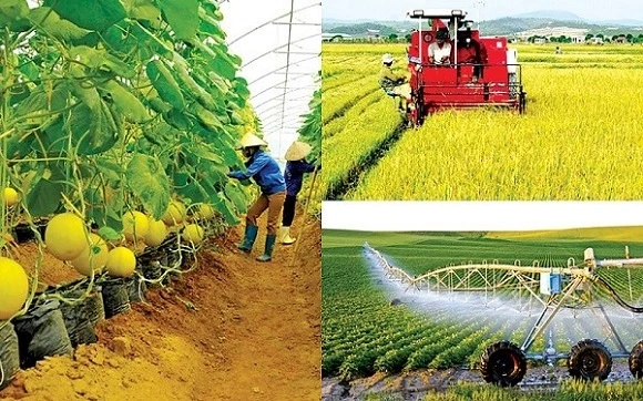 Ngành nông nghiệp phải đối mặt với một loạt khó khăn trong những tháng cuối năm 2021.