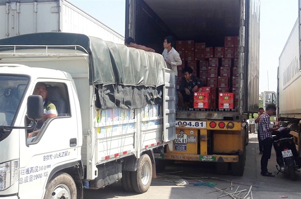 Trung Quốc tạm dừng nhập khẩu thanh long qua cửa khẩu Quảng Ninh do phát hiện virus Sars-CoV-2 trên bao bì