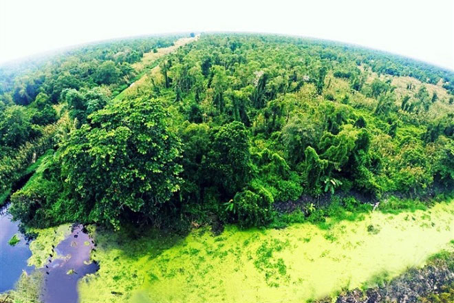 Khám phá khu rừng ở Việt Nam được xếp loại quý hiếm trên thế giới