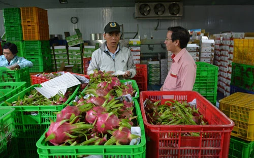 xuất khẩu nông lâm thủy sản của Việt Nam sang Hoa Kỳ đạt mức tăng trưởng ấn tượng, đạt 9,3 tỷ USD, tăng 47,1% so với cùng kỳ 2020.