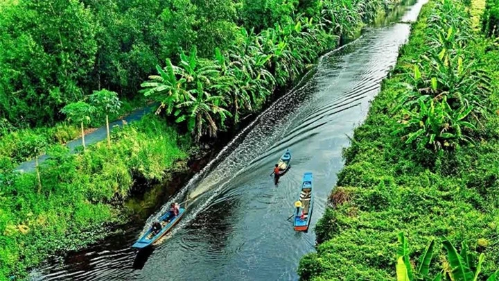 Khám phá khu rừng ở Việt Nam được xếp loại quý hiếm trên thế giới - 2