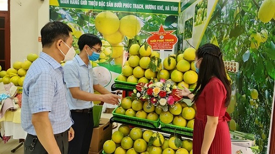 Bưởi Phúc Trạch vượt đại dịch bằng công nghệ số