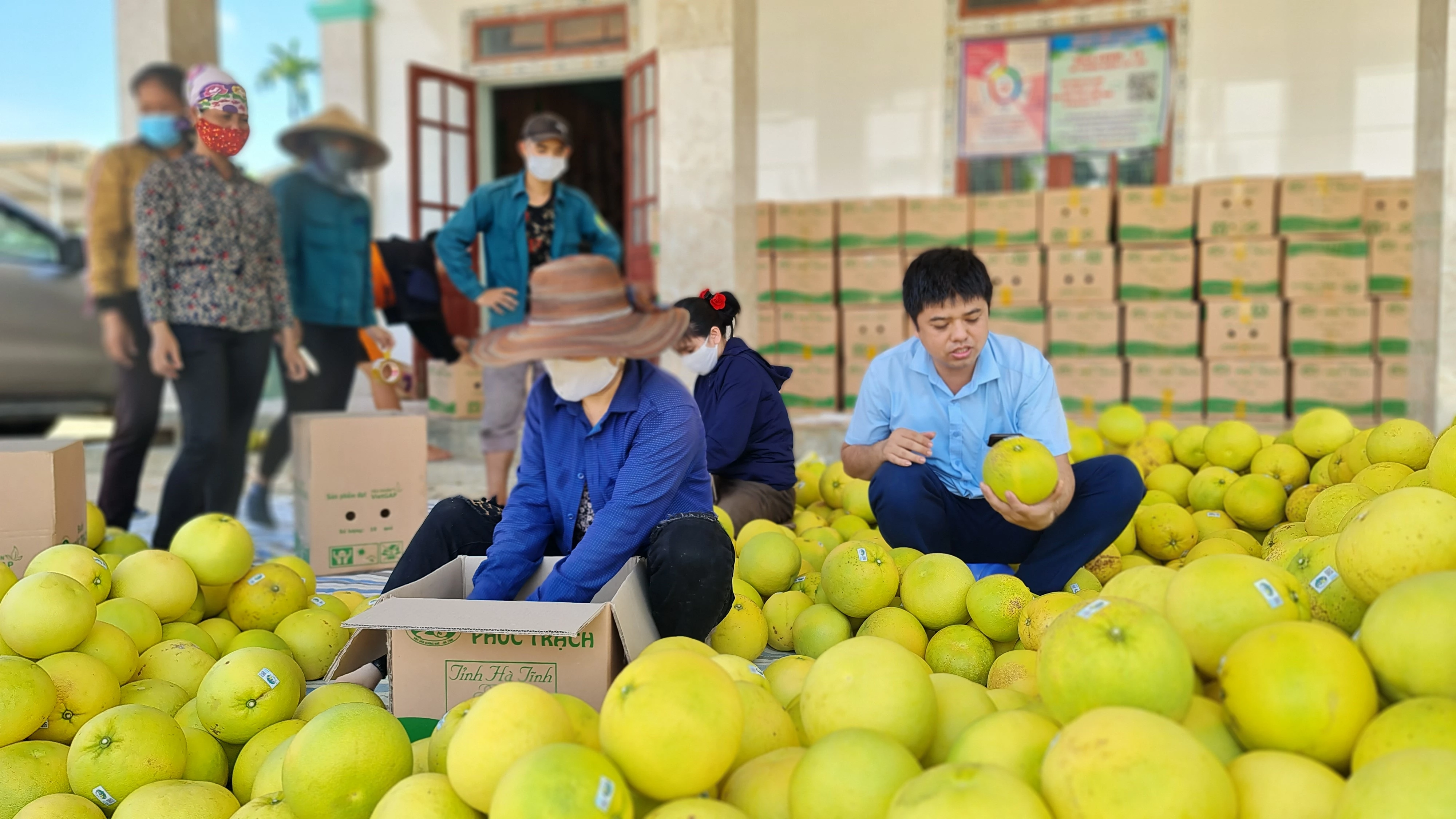 Đóng gói chuyển đến khách hàng