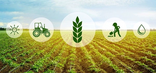 Trong Chương trình Chuyển đổi số Quốc gia cũng đã đề ra 4 định hướng trong chuyển đổi số lĩnh vực nông nghiệp.