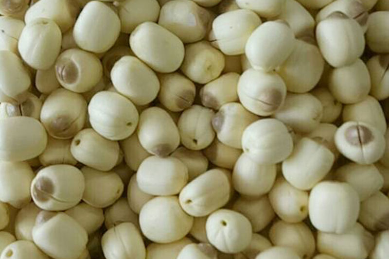 3 trường hợp bà bầu không nên ăn hạt sen