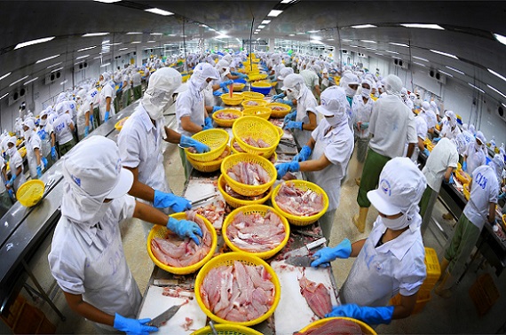 Xu hướng tiêu dùng thủy sản của người dân EU thay đổi "chóng mặt" do COVID-19