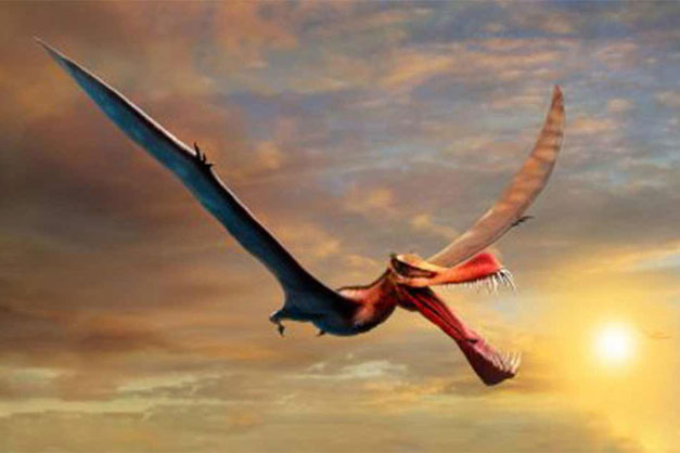 "Quái vật bay" kinh khủng nhất: Đầu cá sấu, cánh gấp 3 lần đại bàng