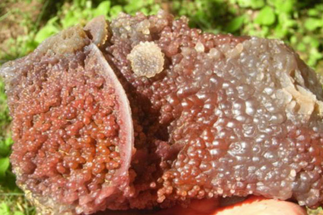 Vấp phải “cục thịt bò” giữa đường, chàng trai 'vớ bẫm' kho báu trời cho