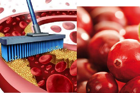 9 loại thực phẩm giúp thông tắc mạch máu, ngừa đột quỵ, vừa rẻ vừa dễ tìm