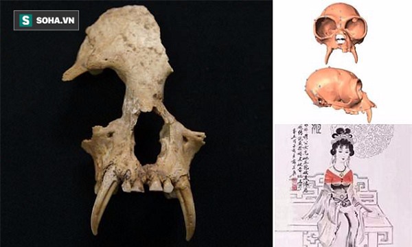 Tiết lộ bất ngờ về 'sinh vật lạ' bên trong lăng mộ bà nội Tần Thủy Hoàng