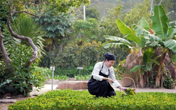 Việt Nam có đại diện duy nhất lọt top 11 khu nghỉ sinh thái hàng đầu thế giới - Ảnh 2.