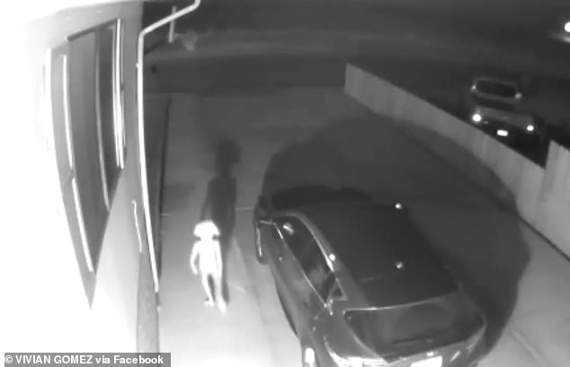 Xem lại camera an ninh, bà mẹ rụng rời chân tay phát hiện sinh vật đáng sợ lởn vởn trước nhà lúc đêm hôm