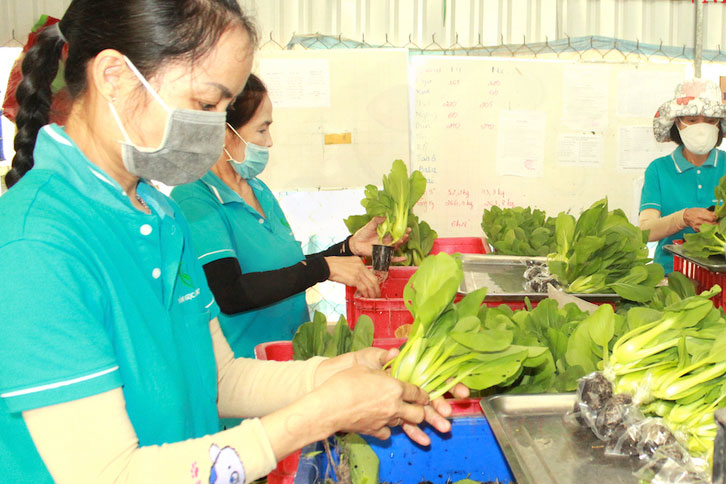 Chờ thêm chính sách hỗ trợ tiêu thụ nông sản giữa đại dịch
