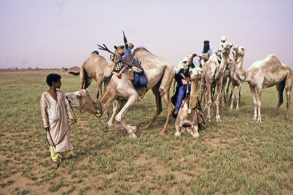 Khám phá nơi đàn ông ra đường phải che mặt, phụ nữ nắm mọi quyền lực, muốn qua đêm với bao nhiêu người cũng được