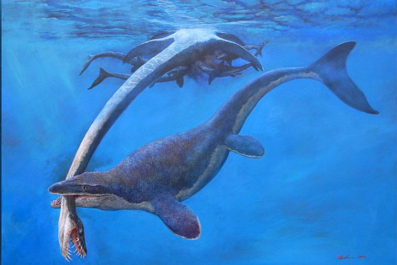 "Quái vật miệng dài" từng cai trị đại dương cổ đại