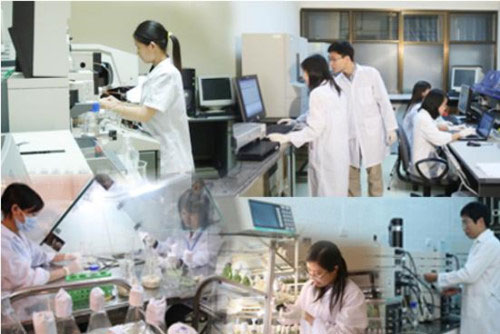 Việt Nam là hình mẫu về đổi mới sáng tạo tại các nước đang phát triển