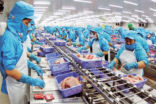 Cần Thơ hướng dẫn tạm thời phương án hoạt động đảm bảo an toàn chống dịch cho doanh nghiệp