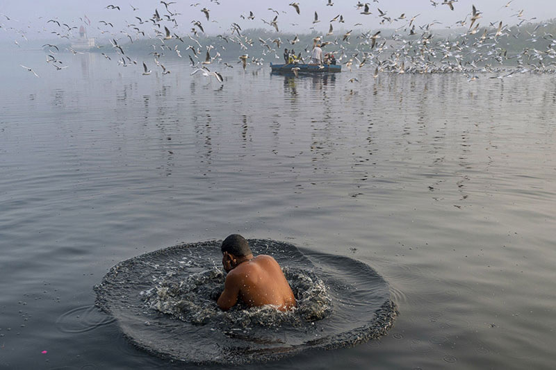 Dòng sông thánh Yamuna của Ấn Độ: “Dòng sông chết tràn ngập sự sống”