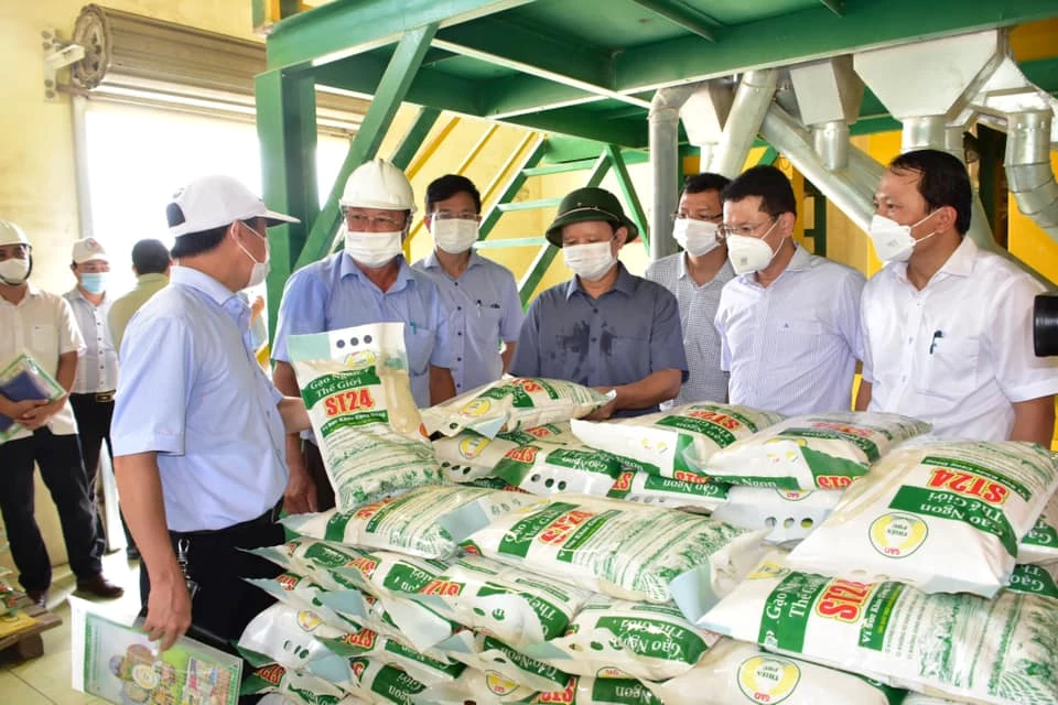 Thăm nhà máy xay xát lúa gạo Green 6 của Công ty Cổ phần Vật tư nông nghiệp Thừa Thiên Huế.
