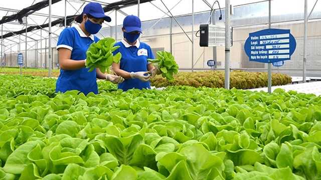 Diễn đàn Kinh tế hợp tác, hợp tác xã năm 2021 dự kiến diễn ra trong tháng 12/2021