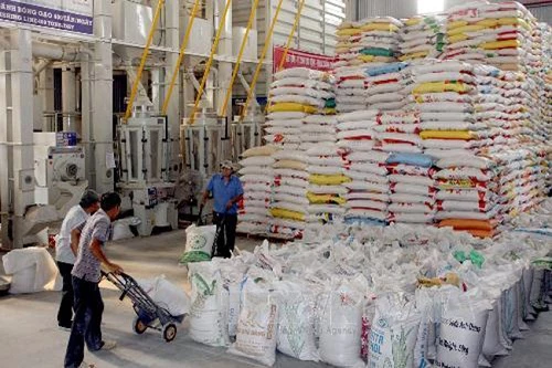 Chế biện gạo xuất khẩu, một trong thế mạnh của Cần Thơ