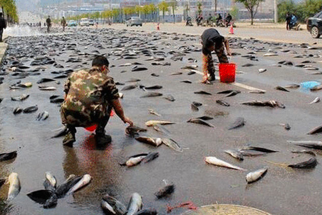 Vì sao có những cơn mưa trút cá, nhện, bò... ào ào xuống đất?