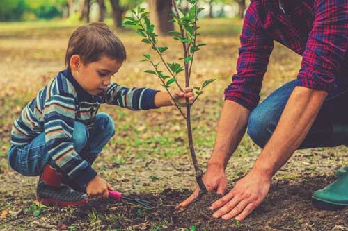 Những mẹo giảm nhiệt trong nhà mà không cần sử dụng điều hoà