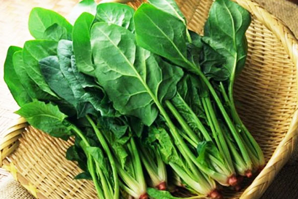 Chuyên gia khuyến cáo 6 loại rau không nên luộc vì mất hết chất dinh dưỡng, sinh độc tố