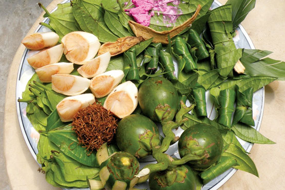 Trong y học cổ truyền, bạn đã biết tác dụng của quả cau như thế nào chưa?