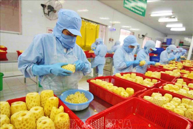 Phục hồi chế biến, xuất khẩu nông sản sau giãn cách