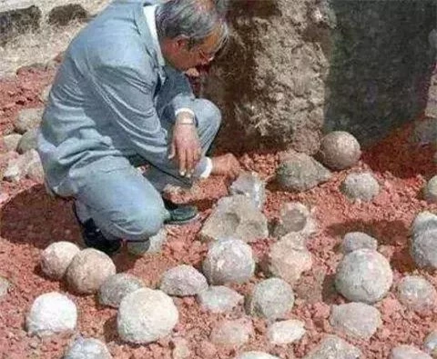 Đem những viên đá tròn đi kiểm định, chàng trai khiến chuyên gia khóc ròng vì sinh vật lạ tìm thấy bên trong - Ảnh 1.