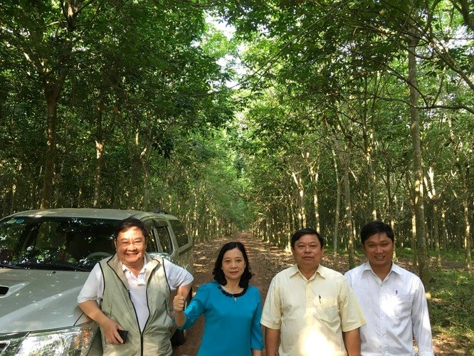 TS. Nguyễn Anh Nghĩa (người đứng ngoài cùng bên trái) thăm rừng cao su Tây Nguyên (ảnh: TL)