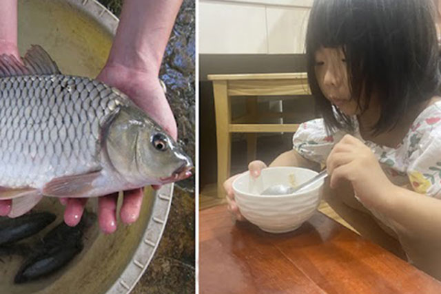 Trẻ ăn cá 1 lần/tuần có điểm số cao hơn hẳn: 8 loại cá đầu bảng giúp tăng IQ và chiều cao vượt trội