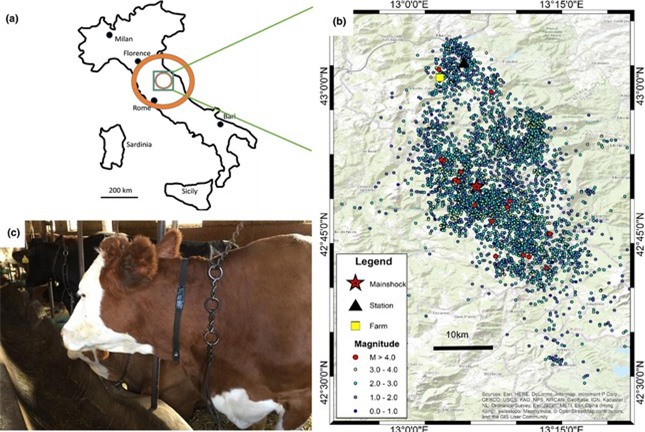 Liệu động vật có thể dự đoán được động đất? ảnh 3