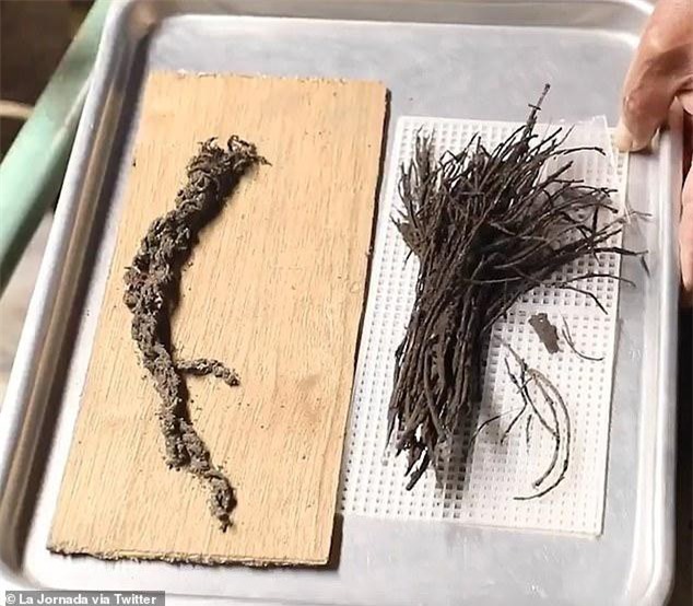 Phát hiện mới về đường hầm âm phủ trong lòng kim tự tháp ở Mexico ảnh 2