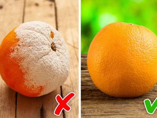 3 kiểu ăn uống tiết kiệm là mầm mống gây bệnh làm sức khỏe sa sút